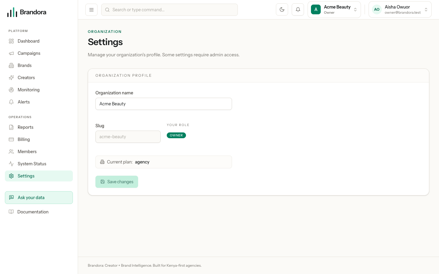 Organization settings showing the workspace name, slug, your role and the current plan